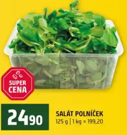Terno Salát polníček nabídka