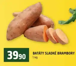 Terno Batáty sladké brambory nabídka