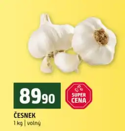 Terno Česnek nabídka
