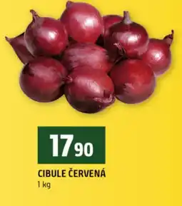 Terno Cibule červená nabídka