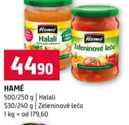 Terno Hamé nabídka