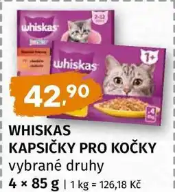 Terno Whiskas kapsičky pro kočky nabídka