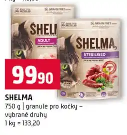 Terno Shelma nabídka