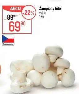 Globus Žampiony bílé nabídka