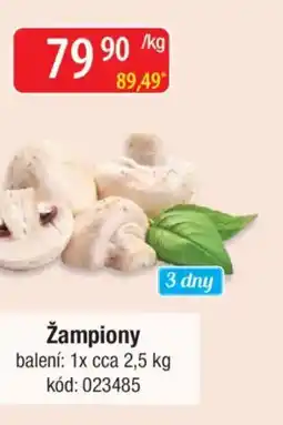 Qanto Žampiony nabídka