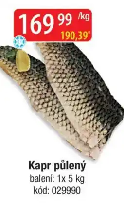 Qanto Kapr půlený nabídka