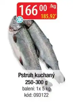 Qanto Pstruh kuchaný nabídka