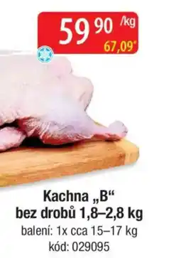 Qanto Kachna „,,B" bez drobů nabídka