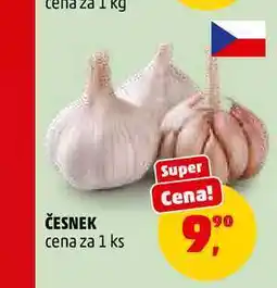 Penny Market ČESNEK, 1 ks nabídka