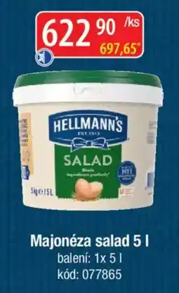 Qanto Hellmann's Majonéza salad nabídka