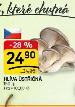 Flop HLÍVA ÚSTŘIČNÁ nabídka