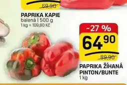Flop PAPRIKA ŽĺHANÁ PINTON/BUNTE nabídka