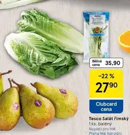 Tesco Tesco Salát římský, 1 ks, balený nabídka