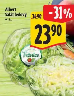 Albert Albert Salát ledový 1 s nabídka