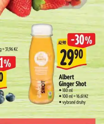 Albert Albert Ginger Shot nabídka