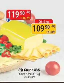 Qanto Sýr Gouda 48% nabídka