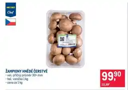 Makro ŽAMPIONY HNĚDÉ ČERSTVÉ nabídka