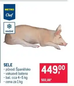 Makro Sele nabídka