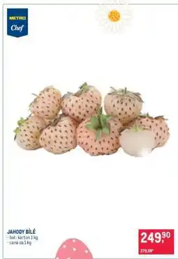 Makro JAHODY BÍLÉ nabídka