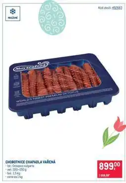 Makro Chobotnice chapadla vařená nabídka