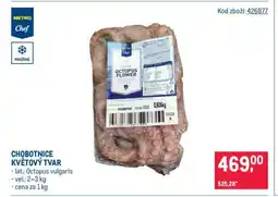Makro Chobotnice květový tvar nabídka