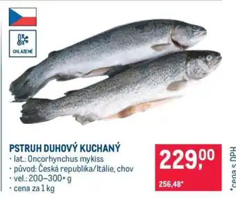 Makro Pstruh duhový kuchaný nabídka