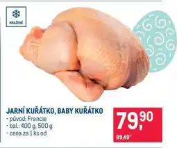 Makro JARNÍ KUŘÁTKO, BABY KUŘÁTKO nabídka