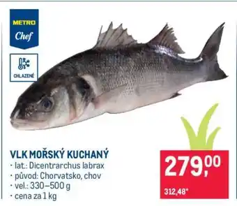 Makro Vlk mořský kuchaný nabídka