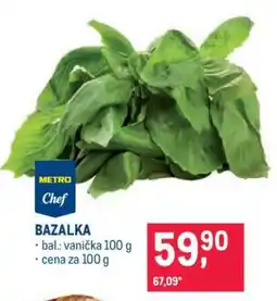 Makro Bazalka nabídka
