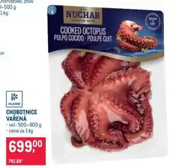 Makro Chobotnice vařená nabídka