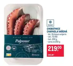 Makro Chobotnice chapadla vařená nabídka