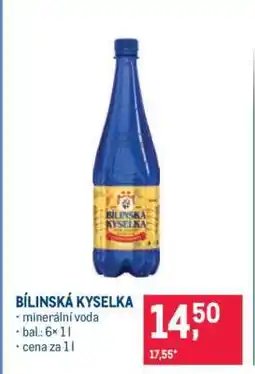 Makro Bílinská kyselka nabídka