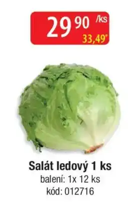 Qanto Salát ledový nabídka