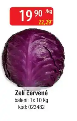 Qanto Zelí červené nabídka