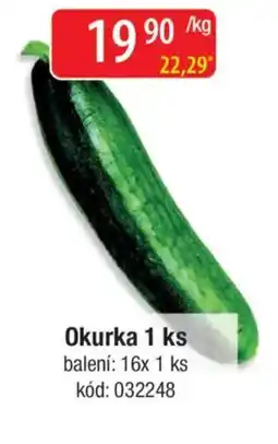 Qanto Okurka nabídka