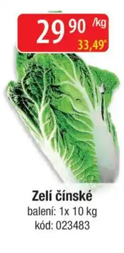 Qanto Zelí čínské nabídka