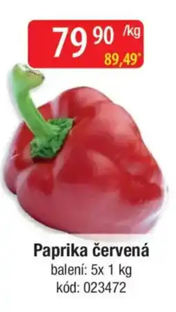 Qanto Paprika červená nabídka