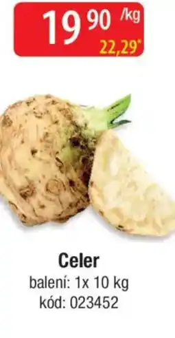 Qanto Celer nabídka