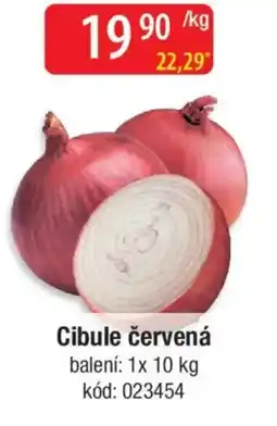 Qanto Cibule červená nabídka