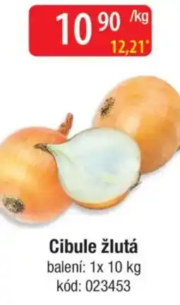 Qanto Cibule žlutá nabídka