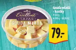 Albert Gouda mladá -kostky nabídka