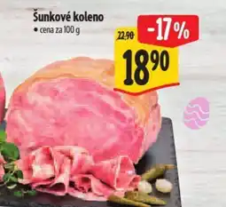 Albert Sunkové koleno nabídka