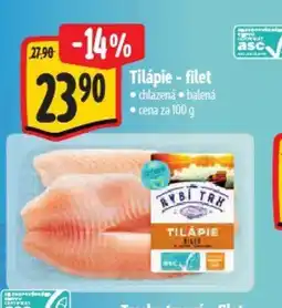 Albert Tilápie - filet nabídka