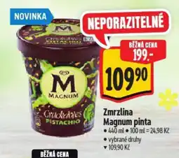 Albert Zmrzlina magnum pinta nabídka