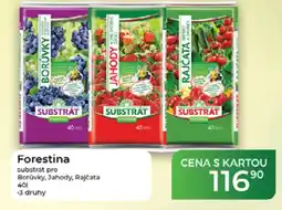Tamda Foods Forestina substrát pro Borůvky, Jahody, Rajčata nabídka