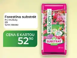 Tamda Foods Forestina substrát Pro Muškáty nabídka