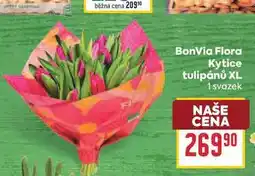 Billa BonVia Flora Kytice tulipánů XL 1 svazek nabídka
