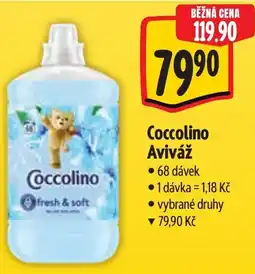 Albert Coccolino Aviváž nabídka