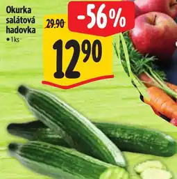 Albert Okurka salátová hadovka nabídka