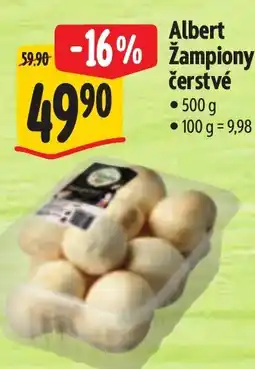 Albert Albert žampiony čerstvé nabídka